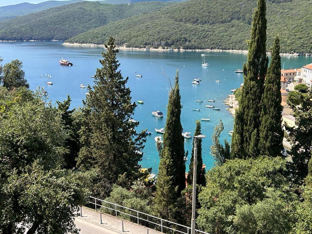 Apartment Near The Sea 650 Rabac Exterior photo